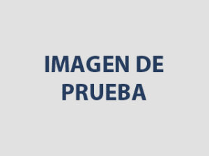 Lee más sobre el artículo Título de prueba